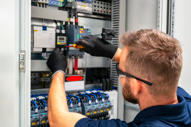 Best Electric Panel Repair  in French Island, WI